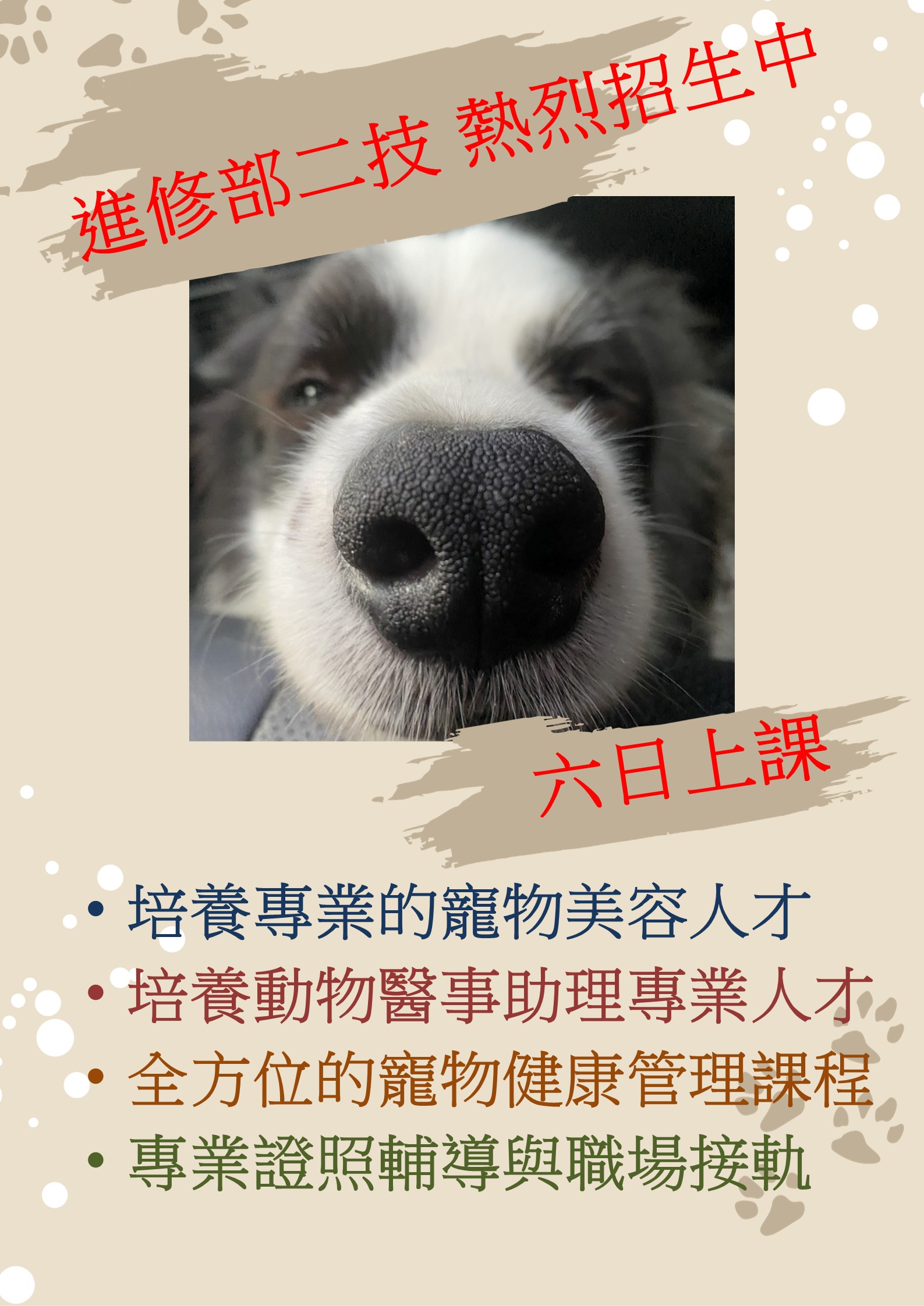 二技進修部招生